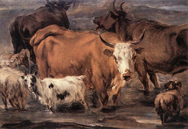 BERCHEM, Nicolaes Animal Study dd Sweden oil painting art